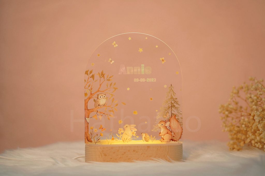 il fullxfull.5302825408 hcdf scaled - New Born Baby Shop